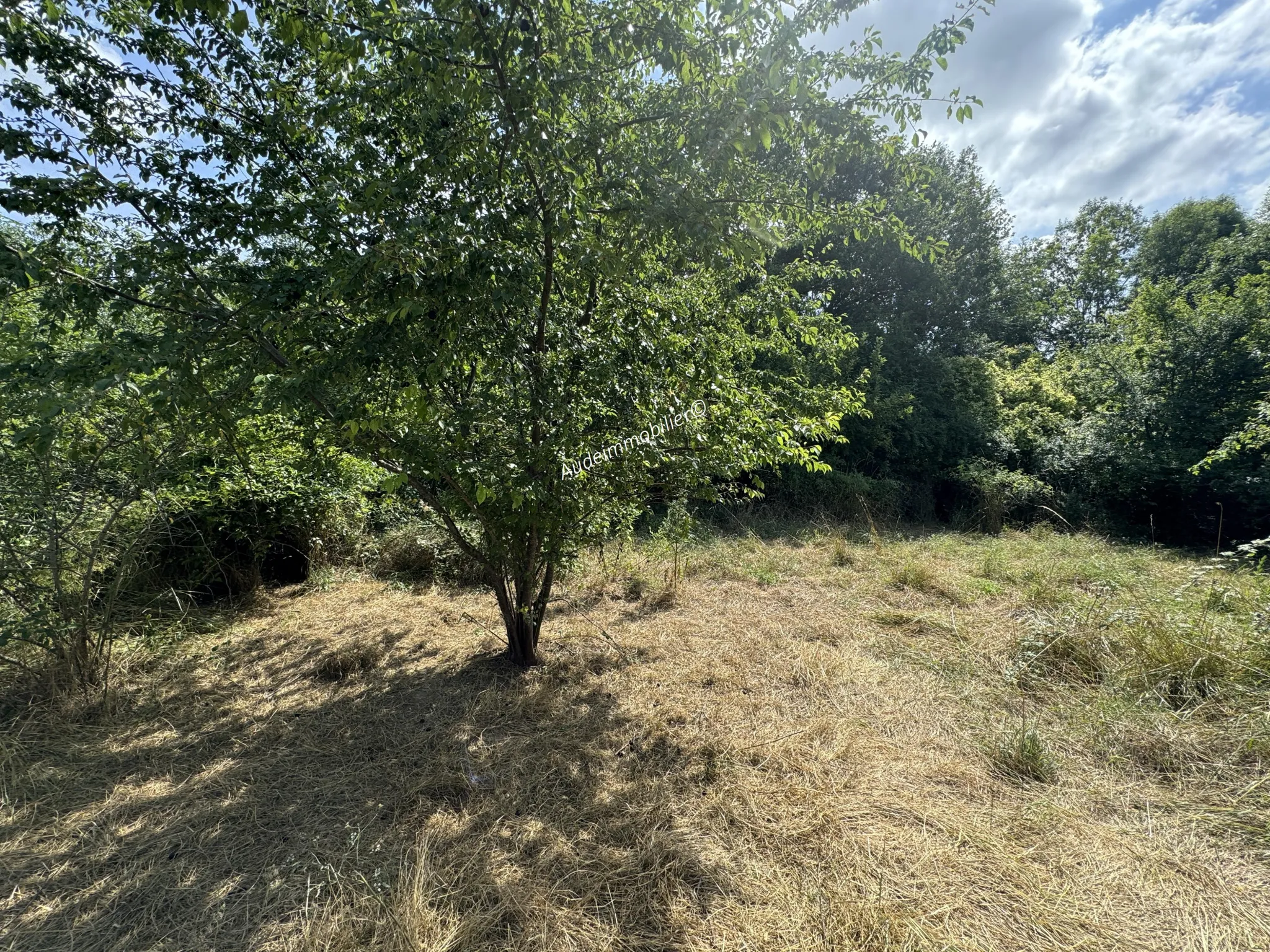 Maison de village en pierres avec jardin et terres à Limoux 