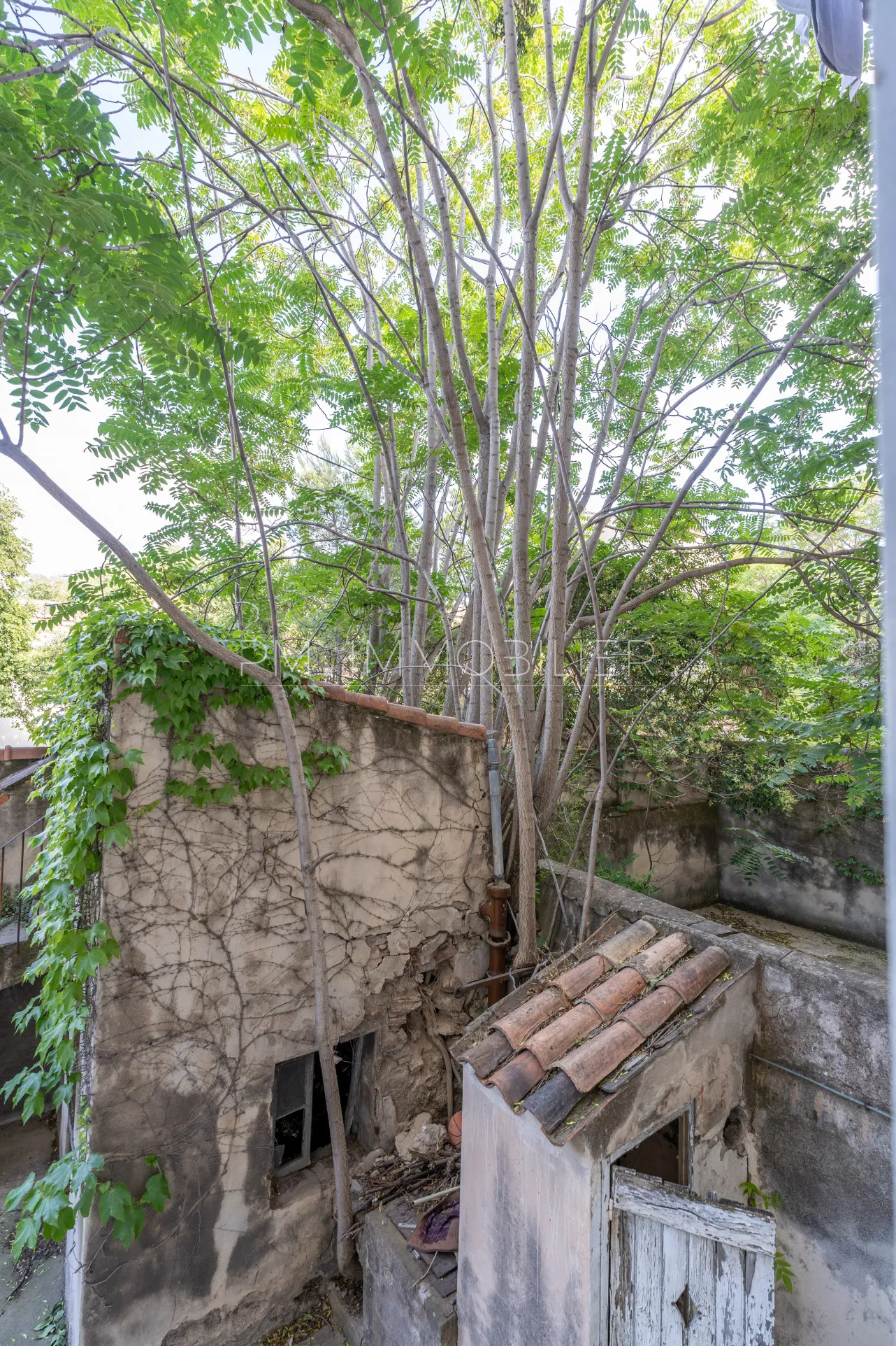 Immeuble ancien avec deux appartements loués à Marseille - Chartreux 