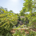 Immeuble ancien avec deux appartements loués à Marseille - Chartreux