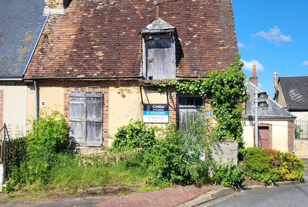 Maison de 49 m² à réhabiliter à Sarge-sur-Braye 