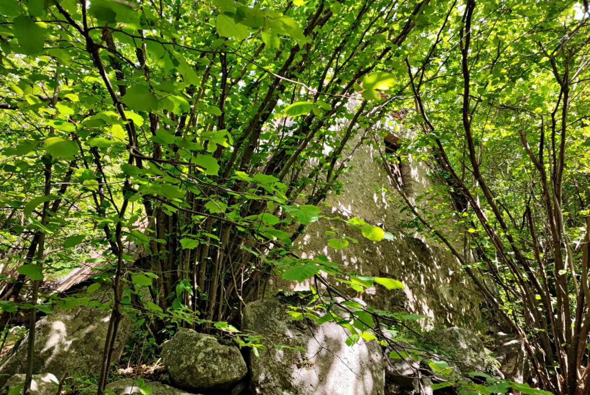 Magnifique terrain avec grange à vendre à Belvédère (06450) 