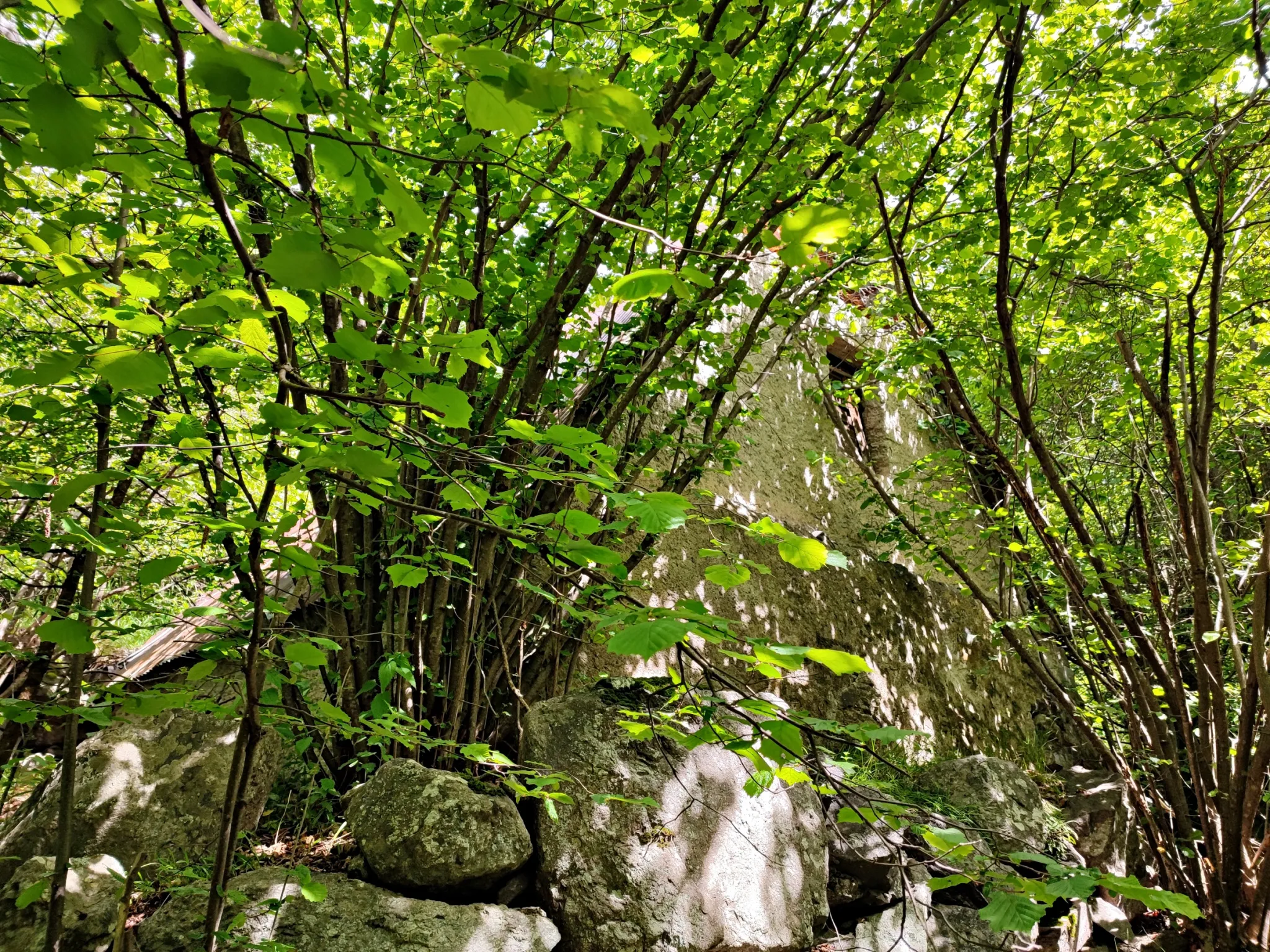 Magnifique terrain avec grange à vendre à Belvédère (06450) 