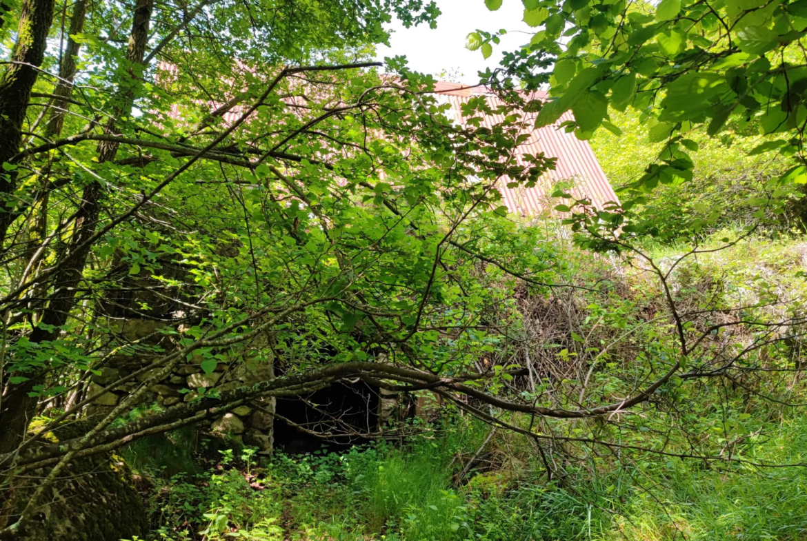 Magnifique terrain avec grange à vendre à Belvédère (06450) 