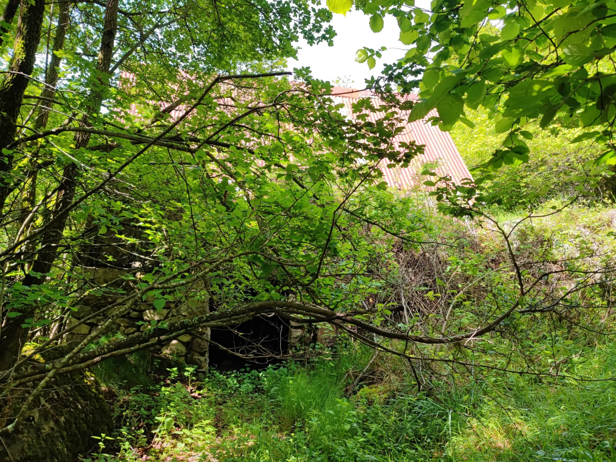 Magnifique terrain avec grange à vendre à Belvédère (06450) 