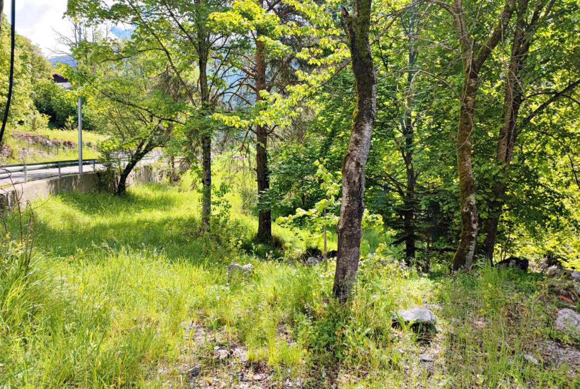 Magnifique terrain avec grange à vendre à Belvédère (06450) 