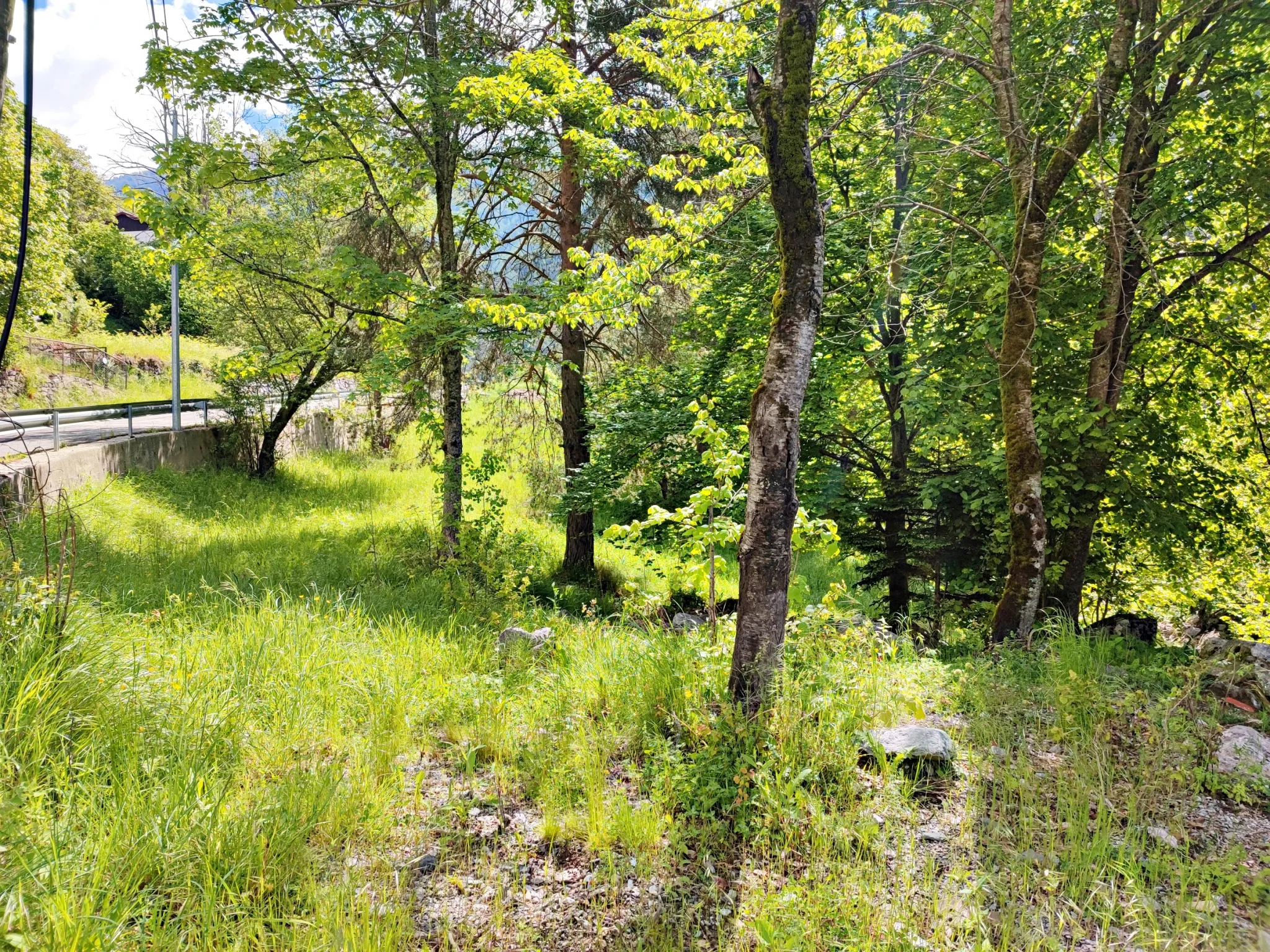 Magnifique terrain avec grange à vendre à Belvédère (06450) 