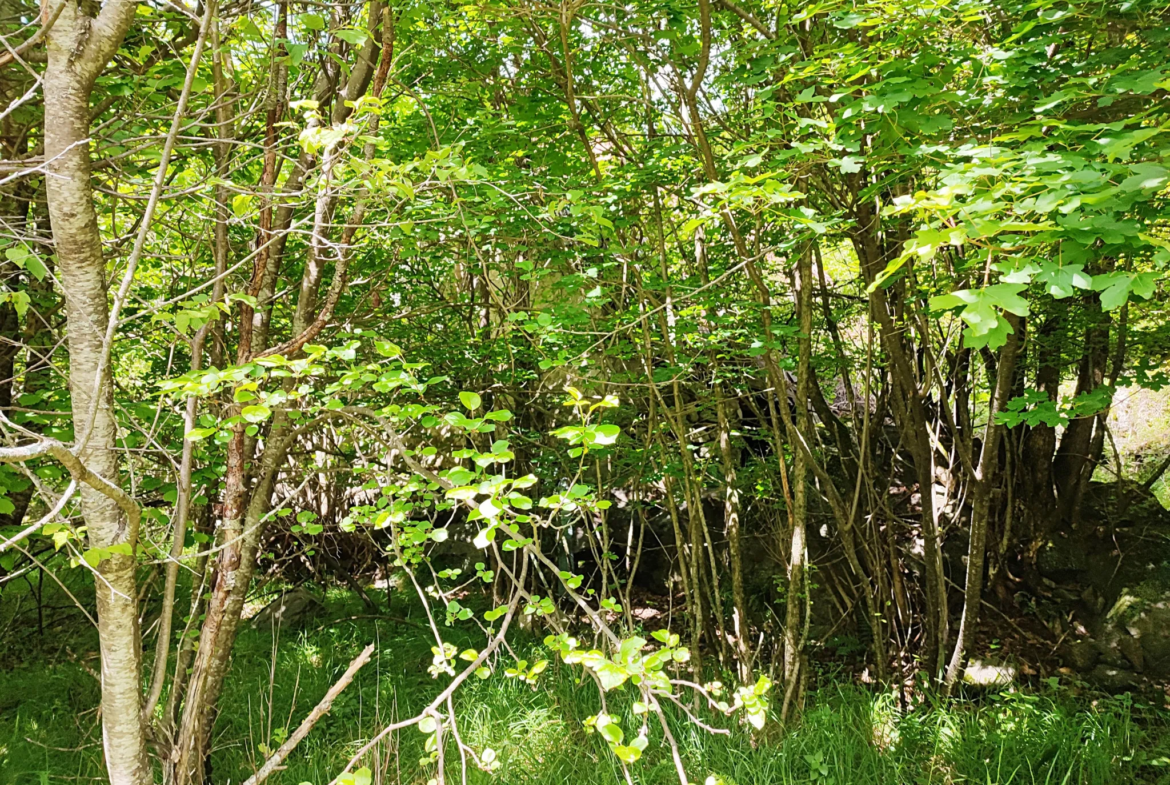 Magnifique terrain avec grange à vendre à Belvédère (06450) 