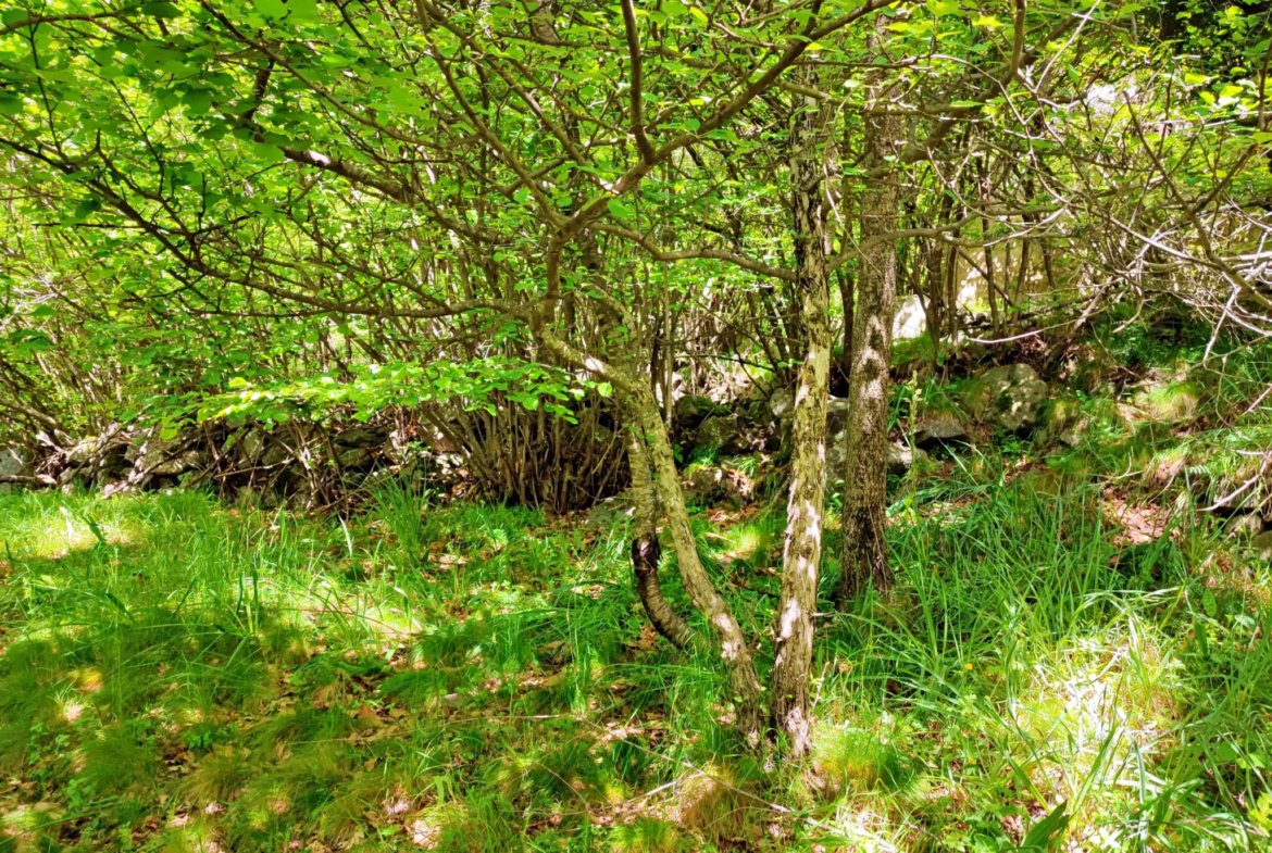 Magnifique terrain avec grange à vendre à Belvédère (06450) 