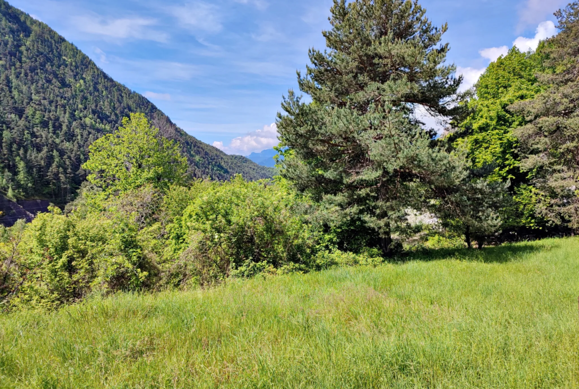 Magnifique terrain avec grange à vendre à Belvédère (06450) 