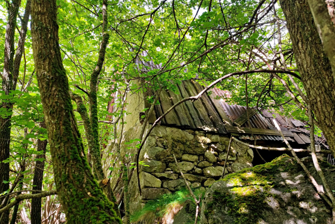 Magnifique terrain avec grange à vendre à Belvédère (06450) 