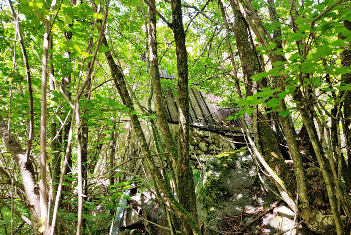 Magnifique terrain avec grange à vendre à Belvédère (06450) 