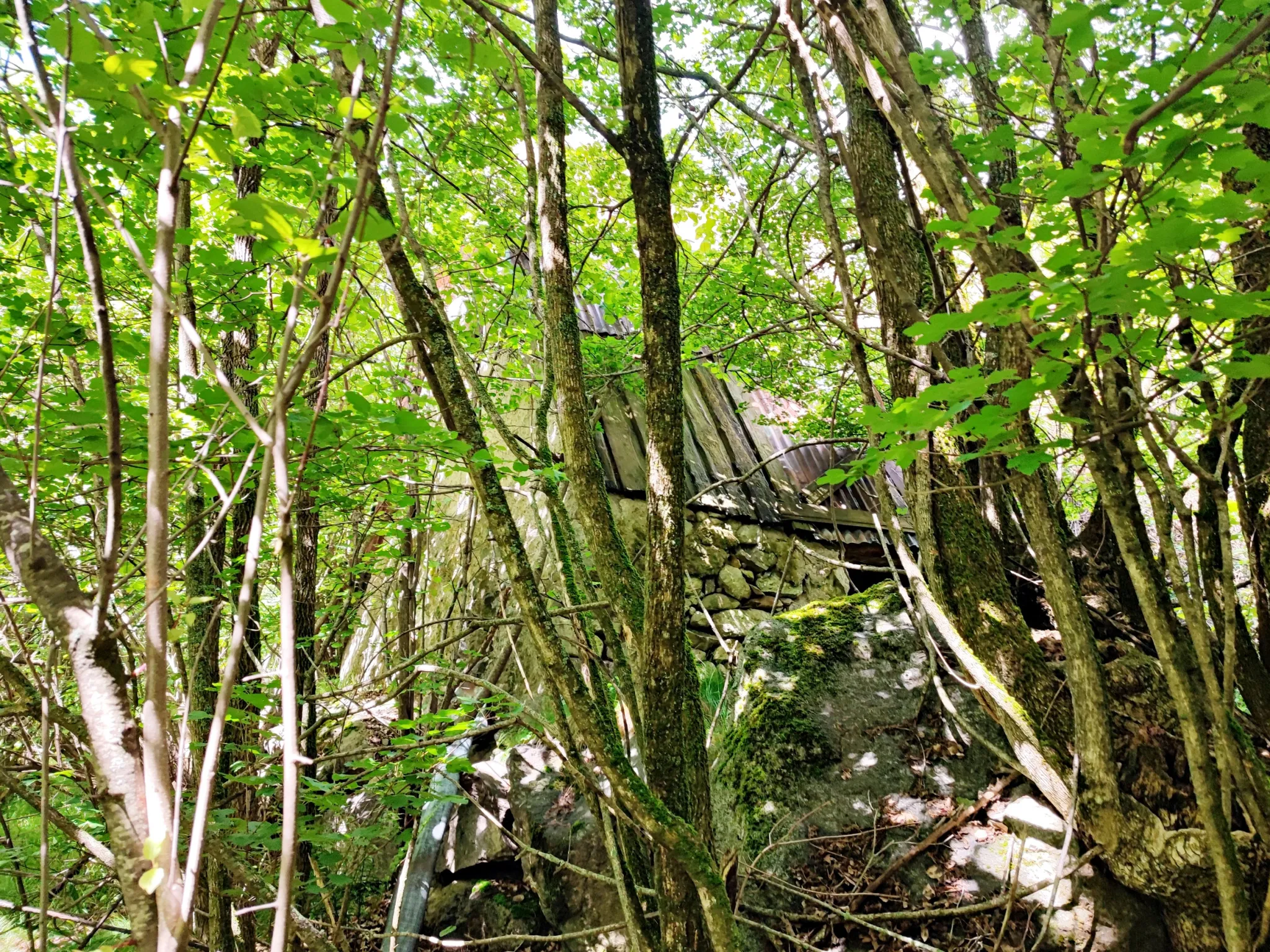 Magnifique terrain avec grange à vendre à Belvédère (06450) 