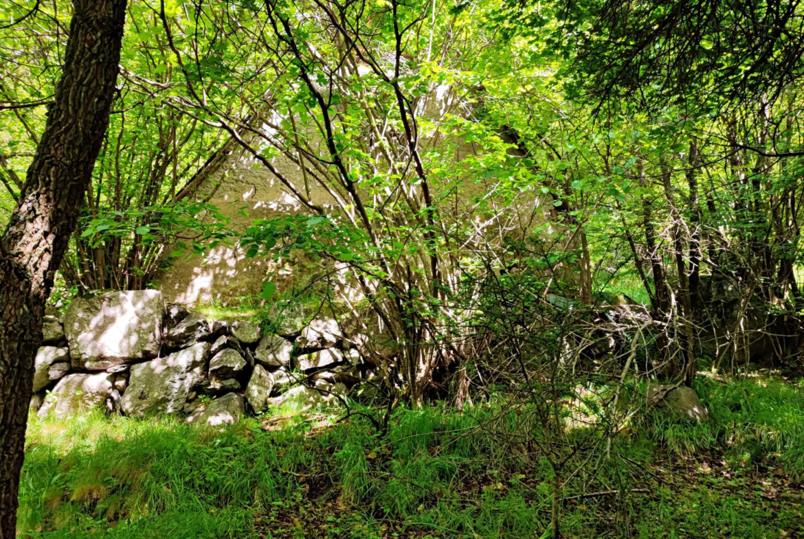 Magnifique terrain avec grange à vendre à Belvédère (06450) 