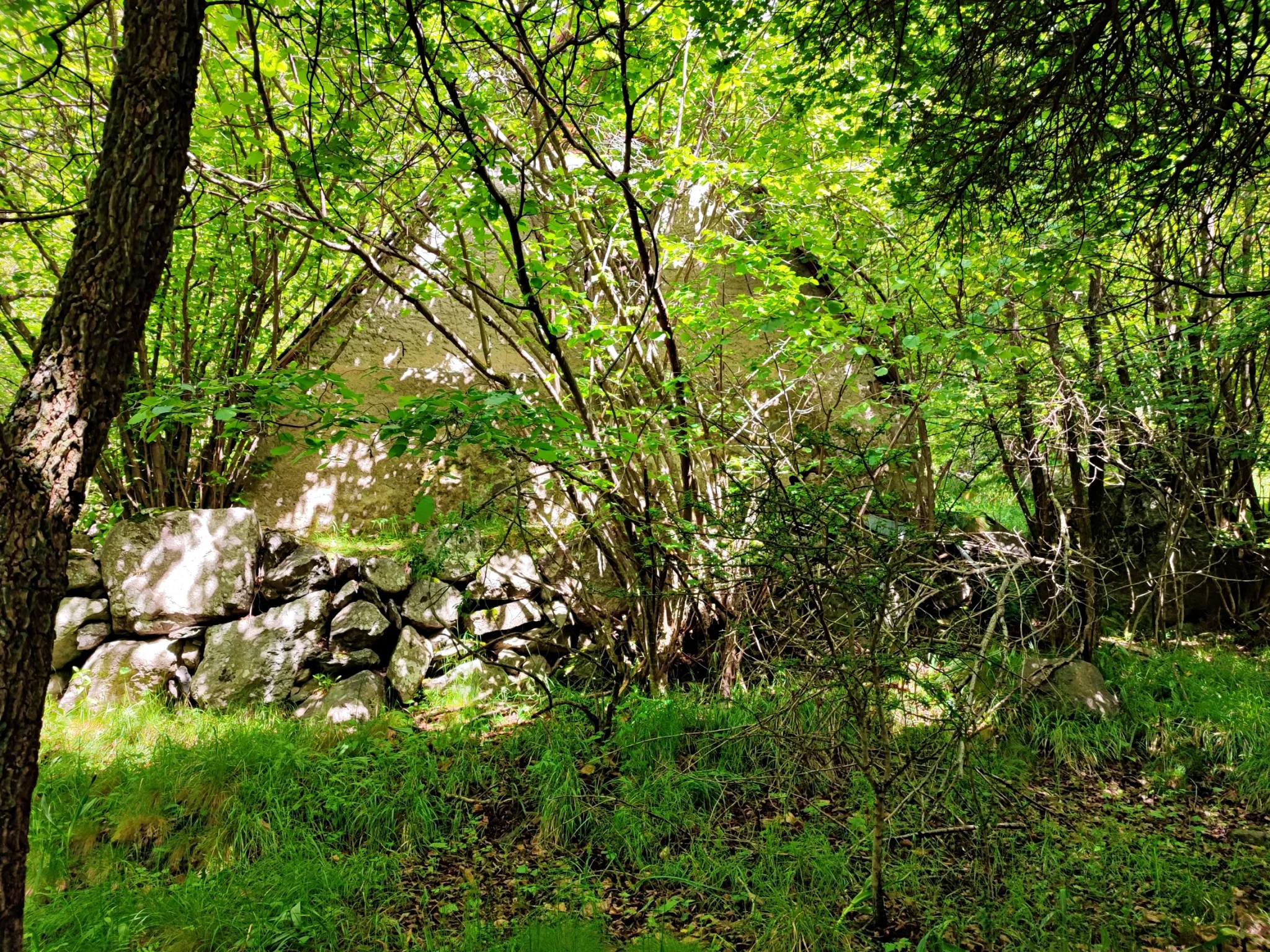 Magnifique terrain avec grange à vendre à Belvédère (06450) 