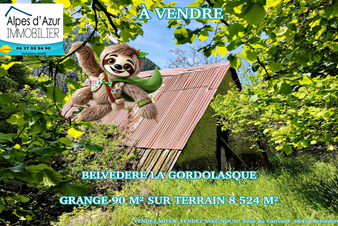 Magnifique terrain avec grange à vendre à Belvédère (06450) 