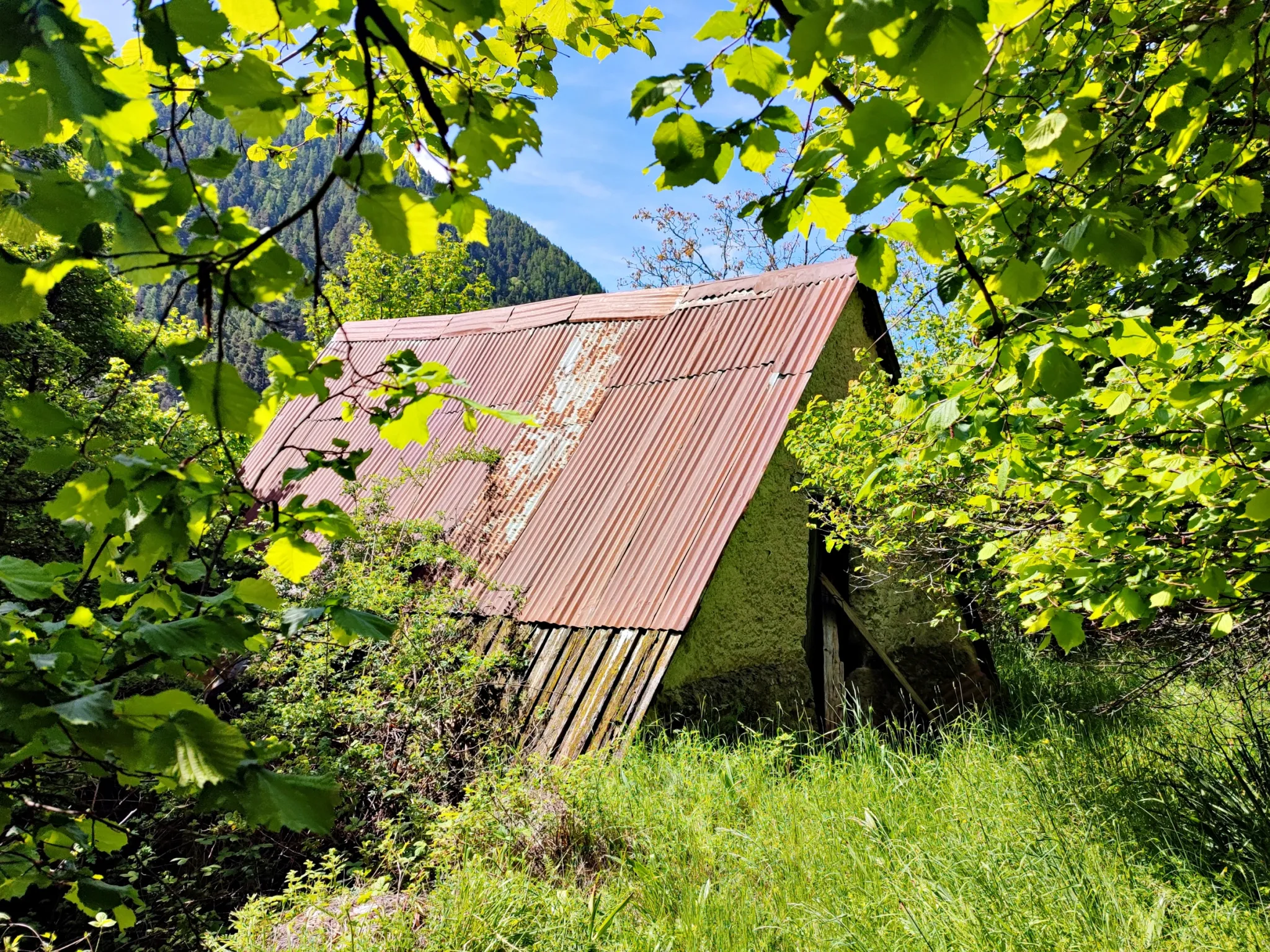 Magnifique terrain avec grange à vendre à Belvédère (06450) 