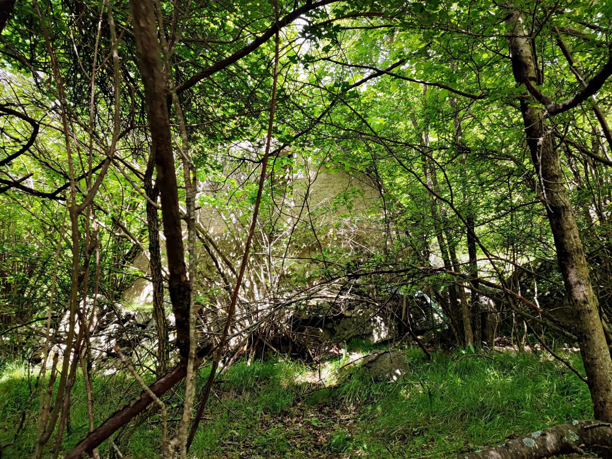 Magnifique terrain avec grange à vendre à Belvédère (06450) 