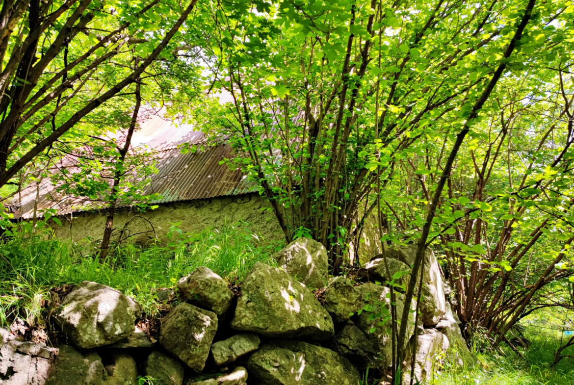 Magnifique terrain avec grange à vendre à Belvédère (06450) 