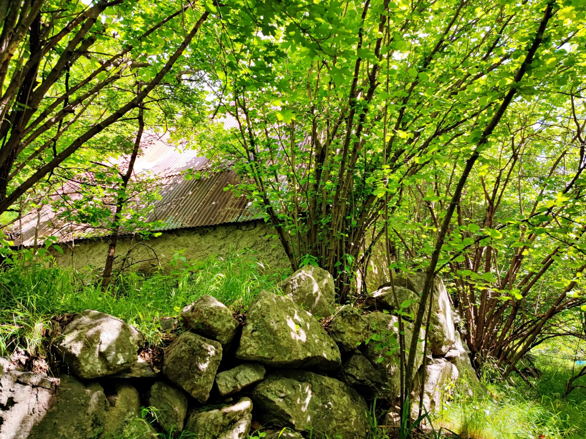 Magnifique terrain avec grange à vendre à Belvédère (06450) 