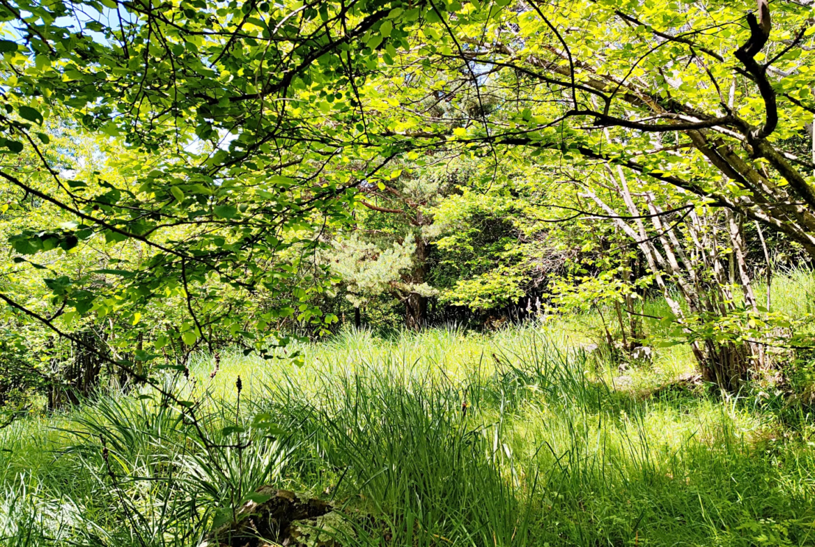 Magnifique terrain avec grange à vendre à Belvédère (06450) 