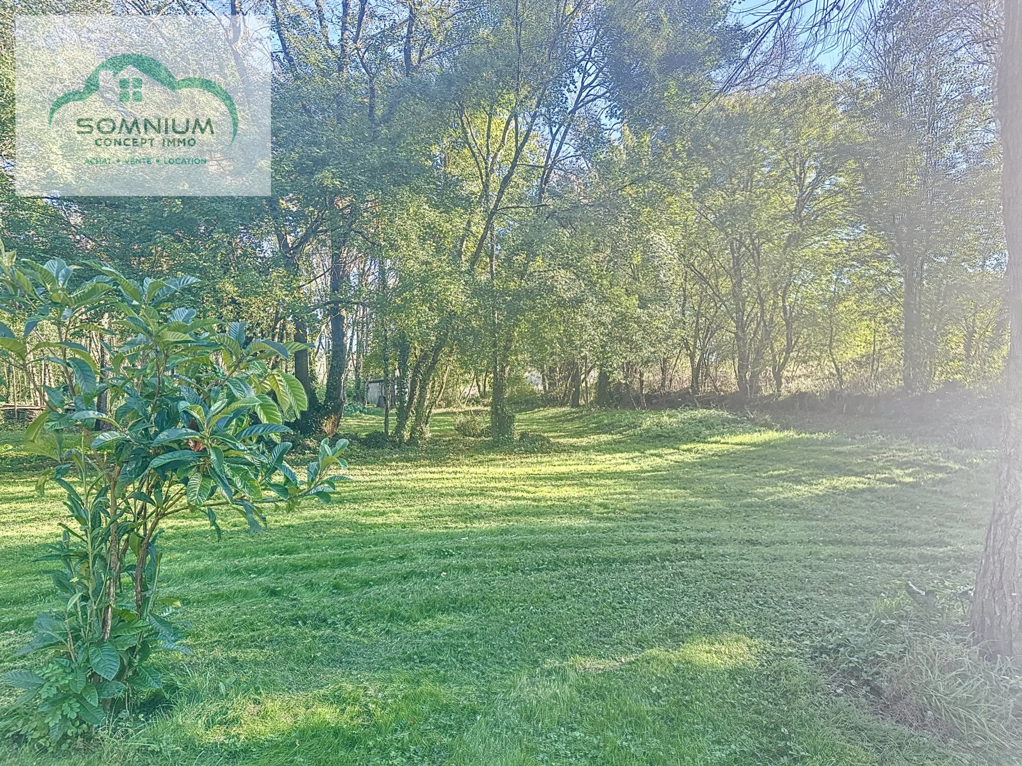 Maison rénovée à L'Isle-Bouzon, 115 m² avec grand terrain de 9400 m² 