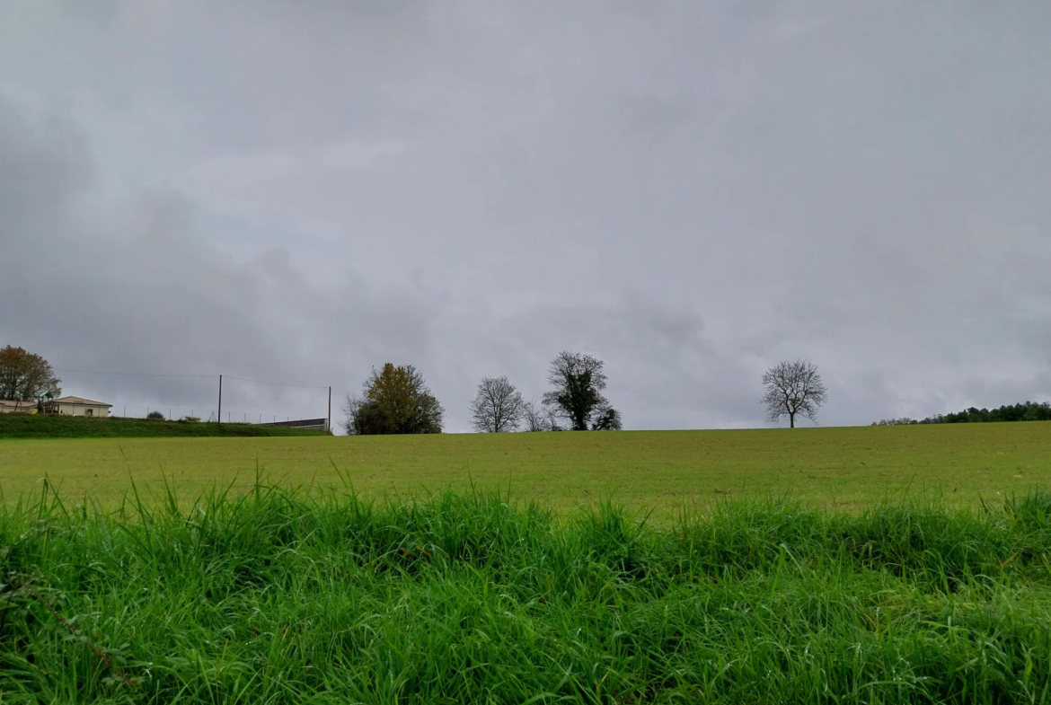 Terrain plat à vendre de 1,8 hectare à Agonac 