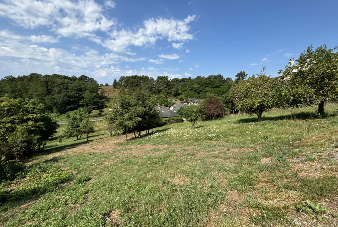 Terrain à bâtir à la Pigeonnie - Brive la Gaillarde 