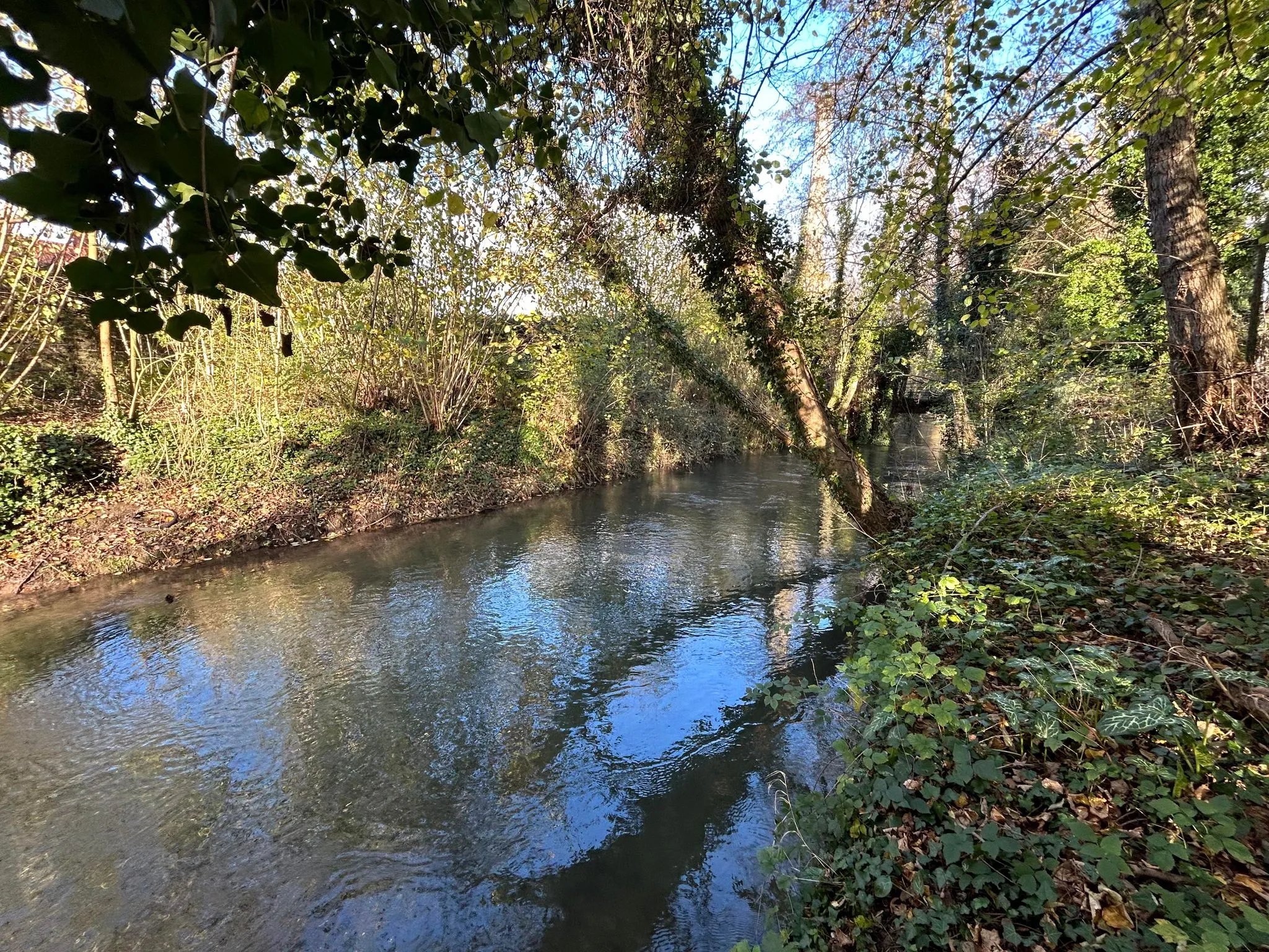 Maison confortable à vendre entre Abbeville et Amiens avec accès à la rivière 