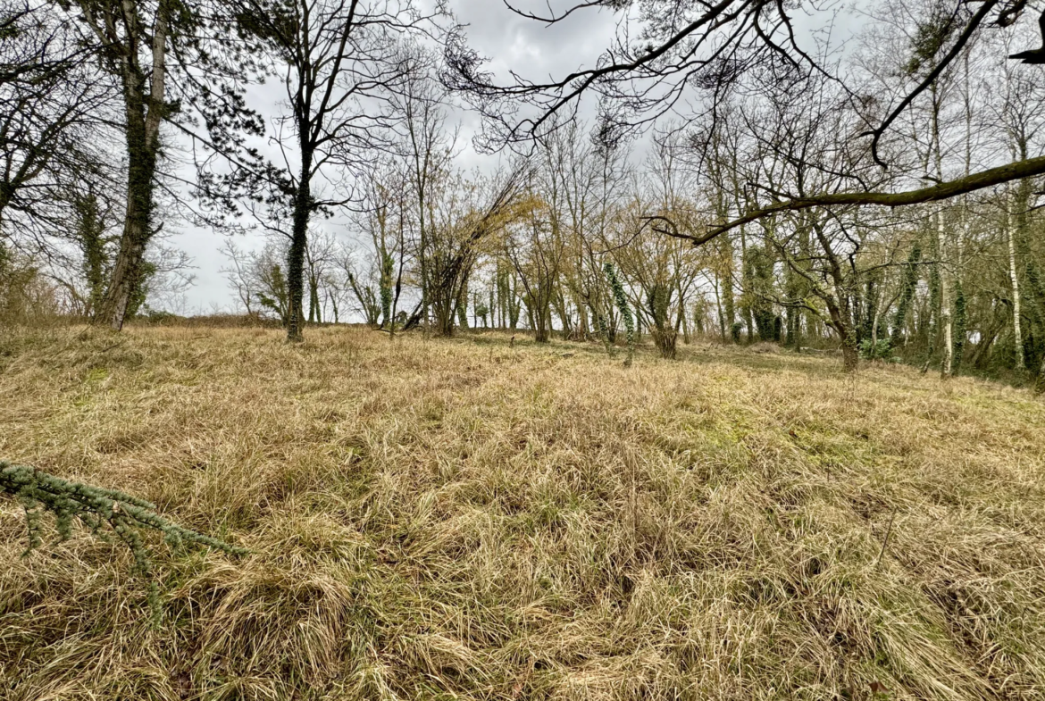 Maison Neuve à Gandelu - 5 Chambres sur Terrain de 1585 m² 