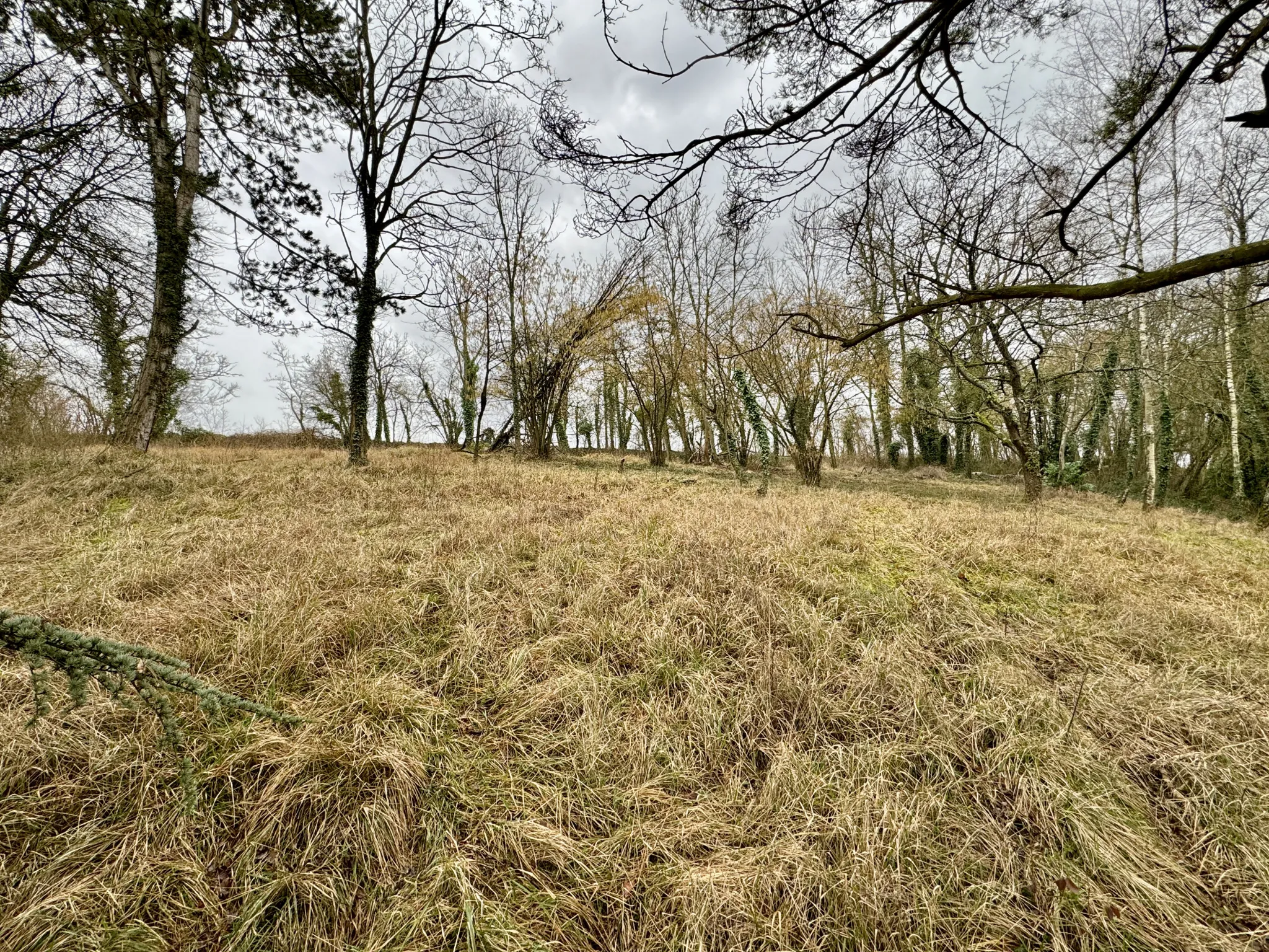 Maison Neuve à Gandelu - 5 Chambres sur Terrain de 1585 m² 