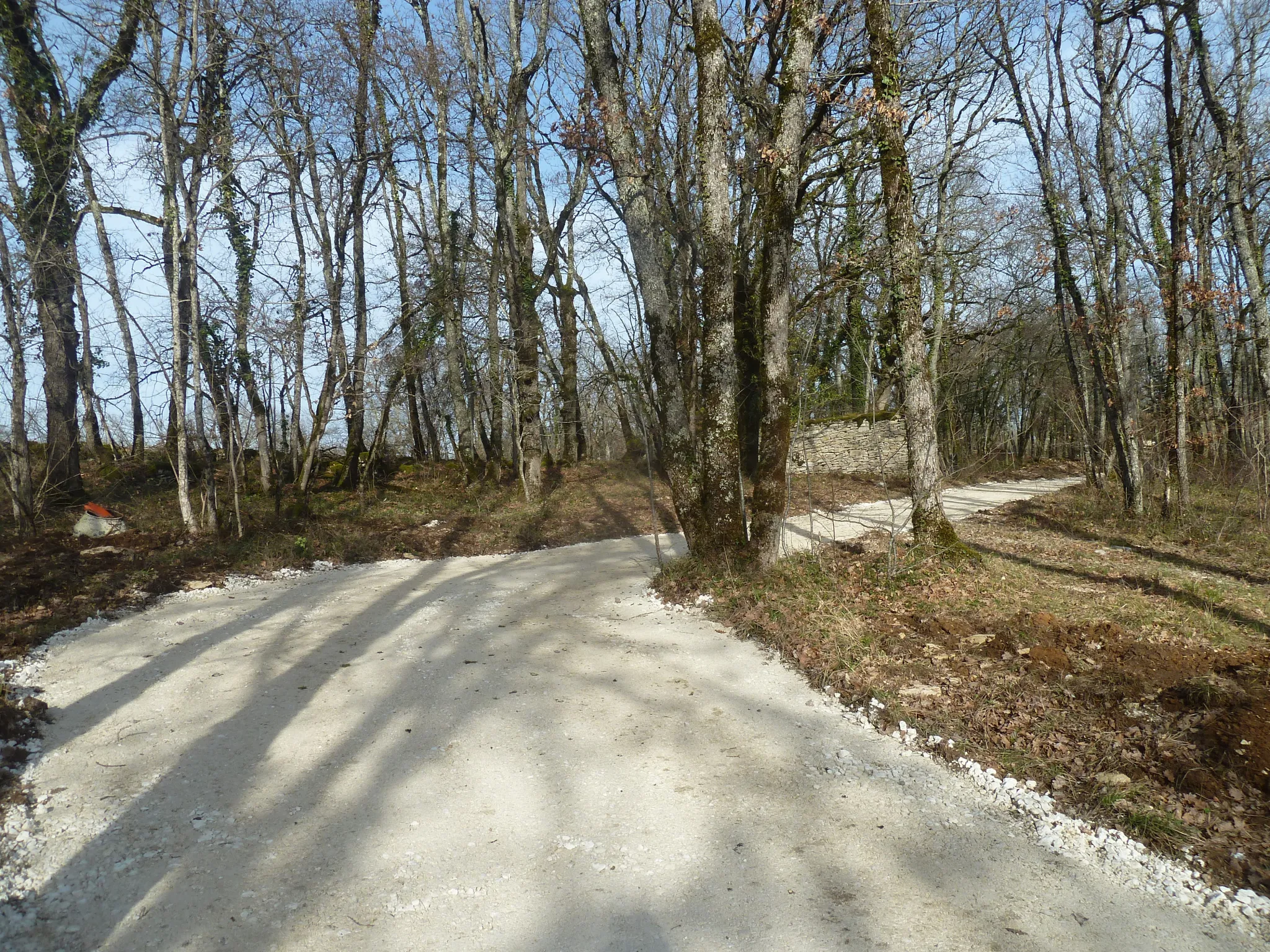 Maison ossature bois à terminer dans les bois à Masquieres 