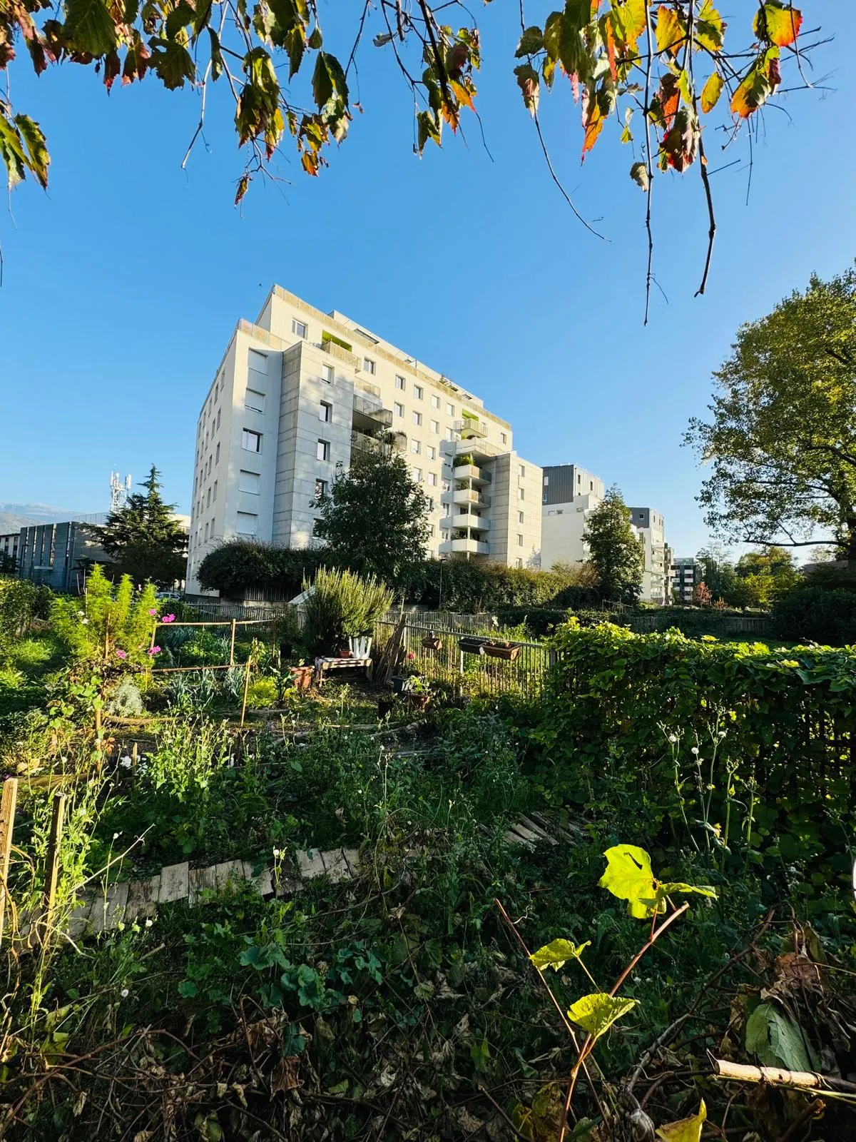 Spacieux T5 à Grenoble avec terrasse et vue dégagée 