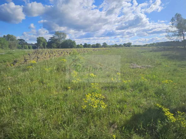 Terrain agricole de 1790 m² à vendre à Galargues pour 10 000 €