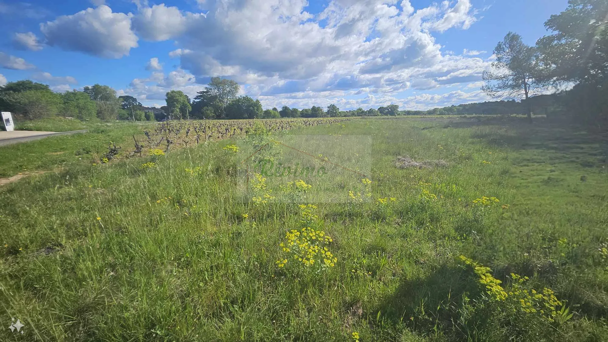 Terrain agricole de 1790 m² à vendre à Galargues pour 10 000 € 