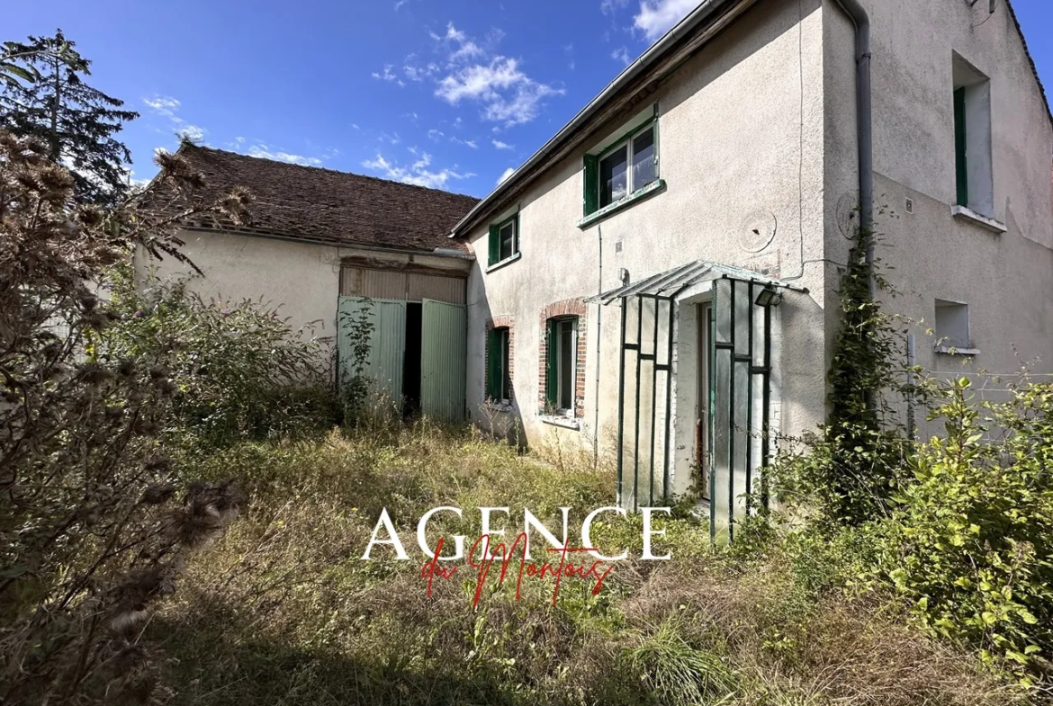 Maison villageoise à rénover à Bray sur Seine avec jardin 