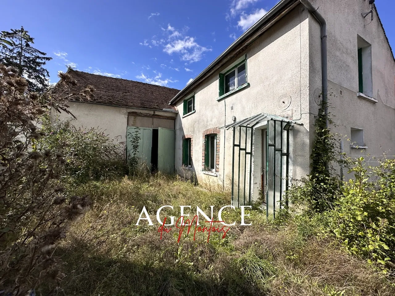 Maison villageoise à rénover à Bray sur Seine avec jardin 