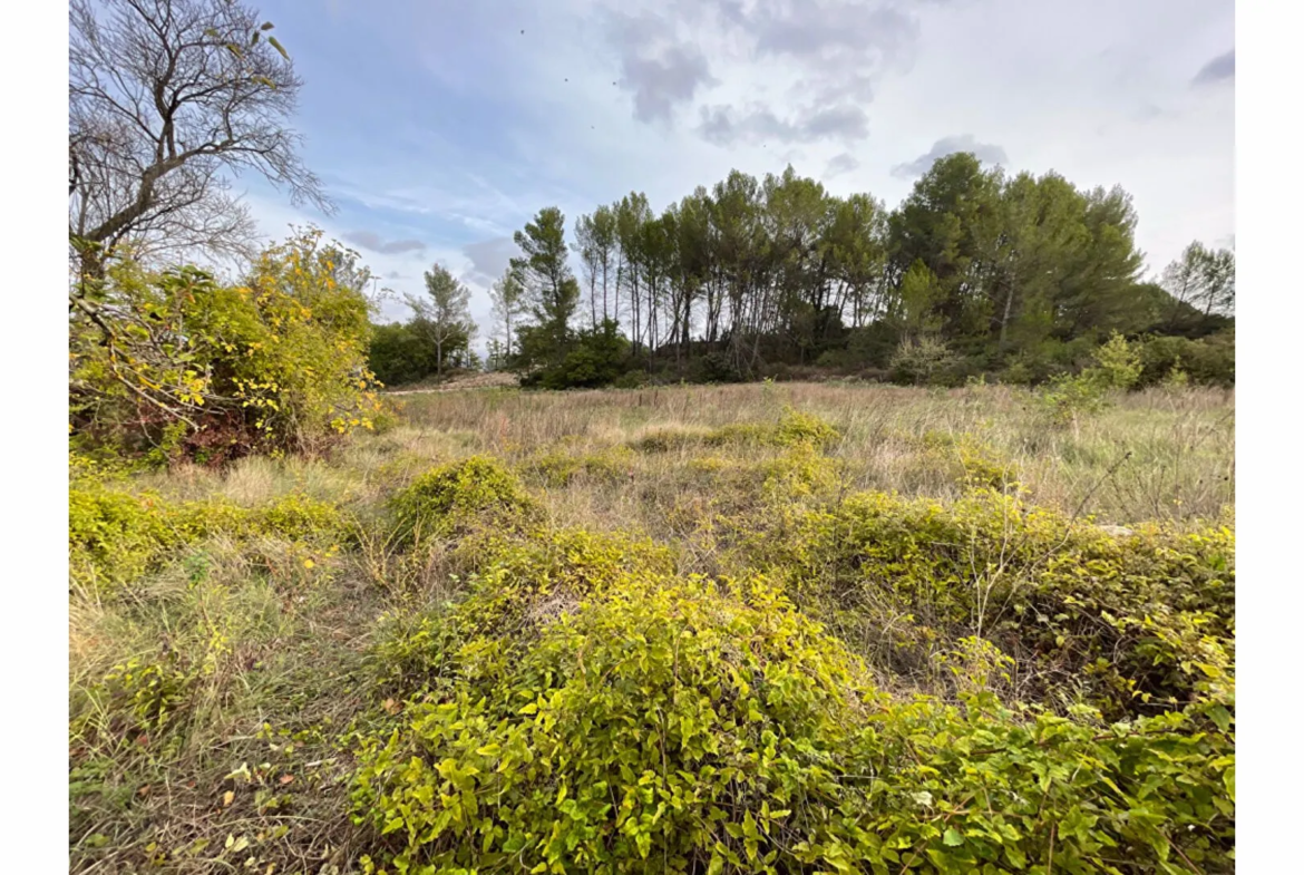 À vendre : terrain viabilisé de 470 m² à Peynier 