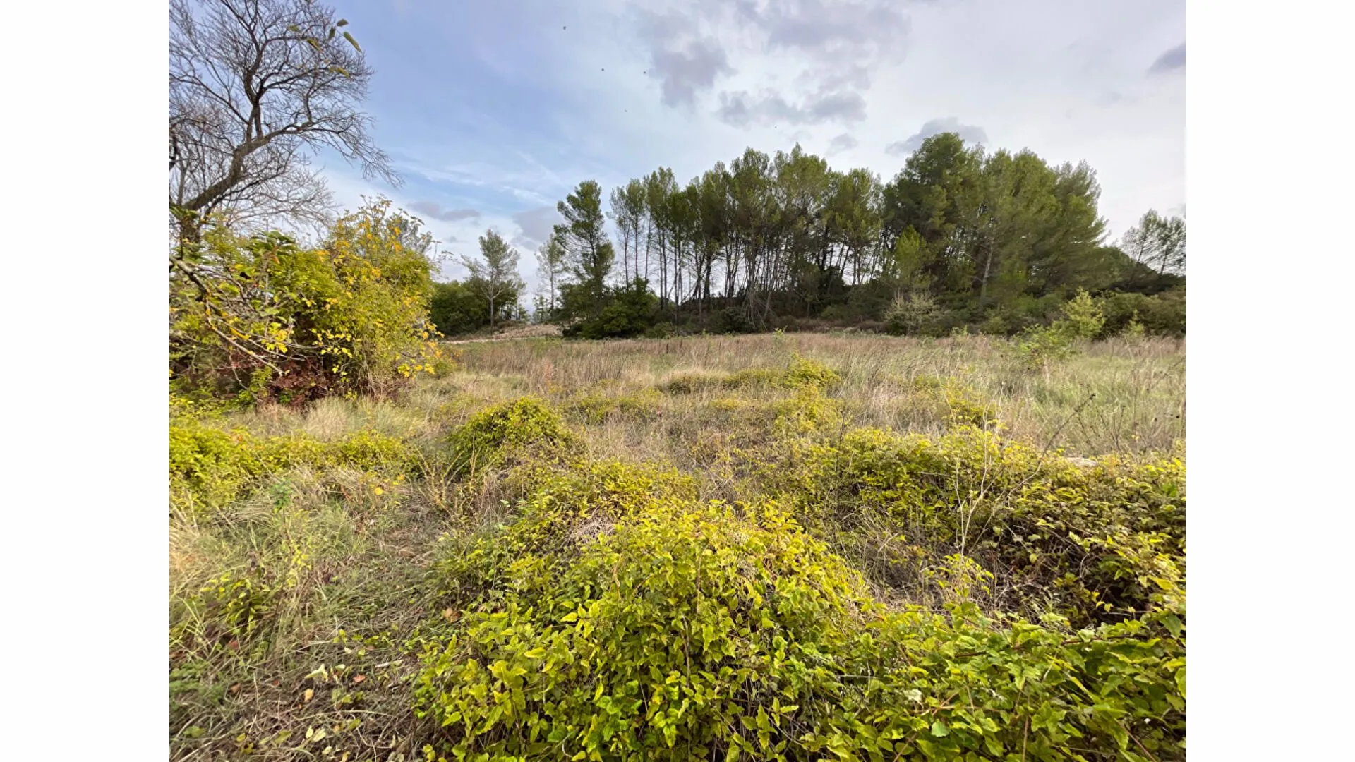 À vendre : terrain viabilisé de 470 m² à Peynier 