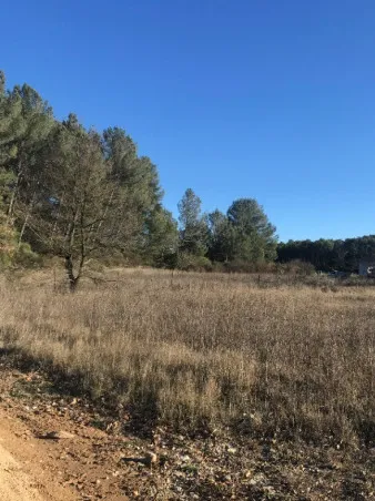 À vendre : terrain viabilisé de 470 m² à Peynier 