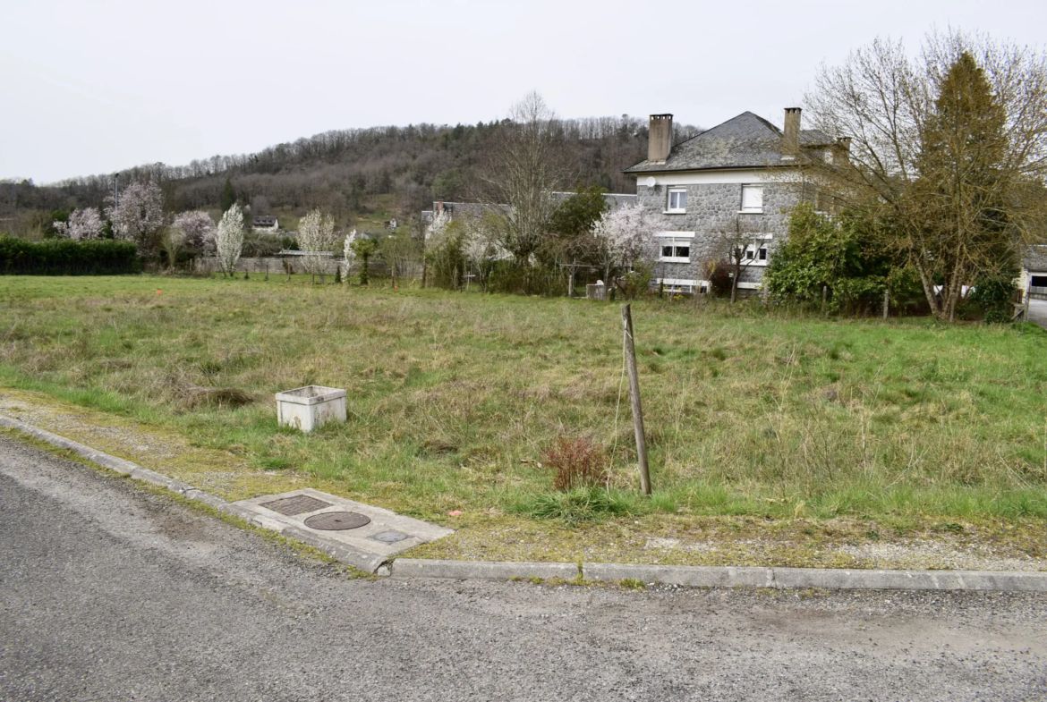 Terrain à bâtir de 1003 m² à Argentat-sur-Dordogne à vendre 