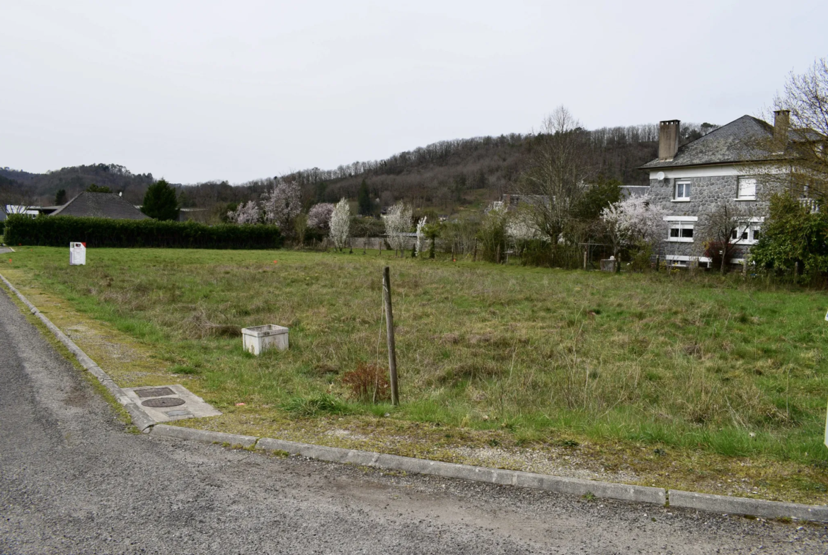 Terrain à bâtir de 1003 m² à Argentat-sur-Dordogne à vendre 