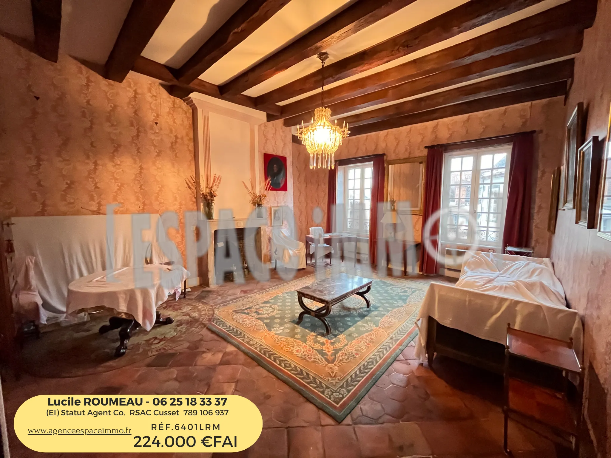 Vente Maison de maître à Saint-Gerand-le-Puy - 8 chambres 