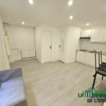 Vente Appartement T3 Duplex Meublé Hyper Centre à Saint-Etienne