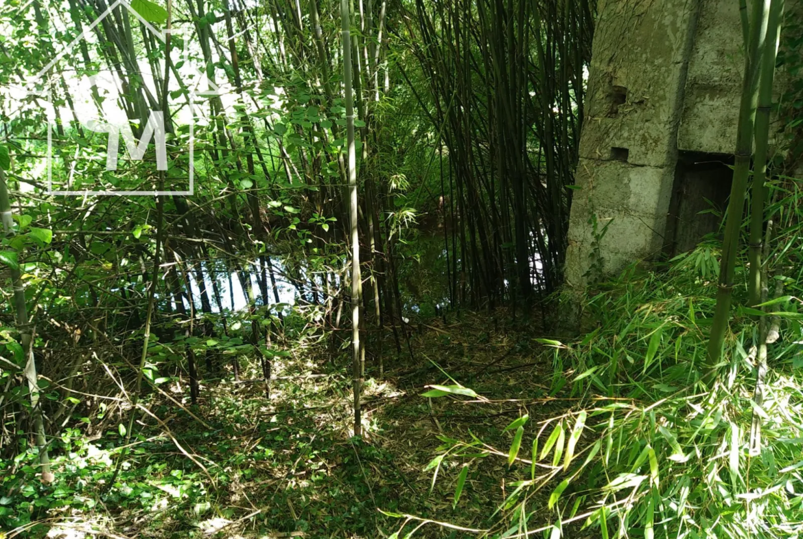 Maison centre bourg à La Chatre avec garage et jardin 