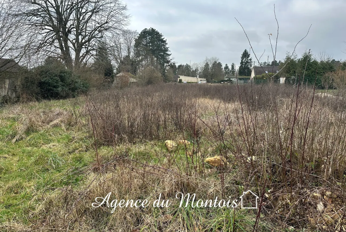 Terrain constructible à Donnemarie Dontilly - 741 m² viabilisé 