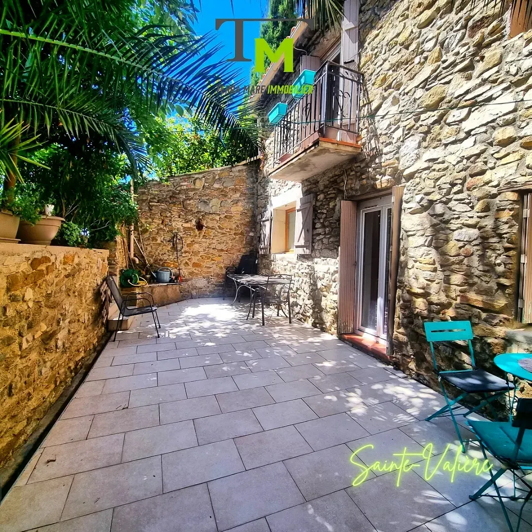 Belle maison de caractère à Sainte-Valière avec jardin 