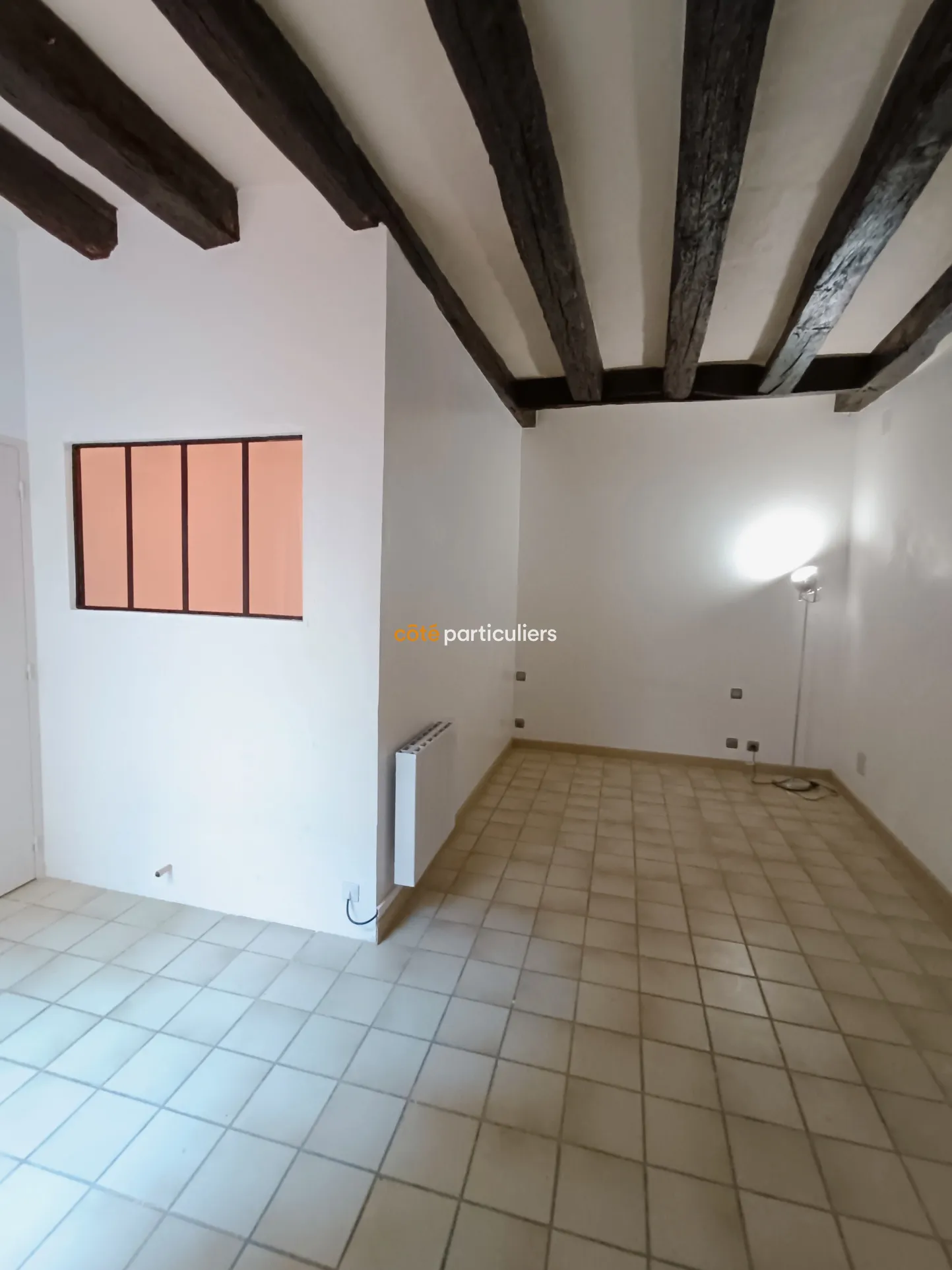 APPARTEMENT AUTHENTIQUE À VENDRE AU COEUR DE TOURS 