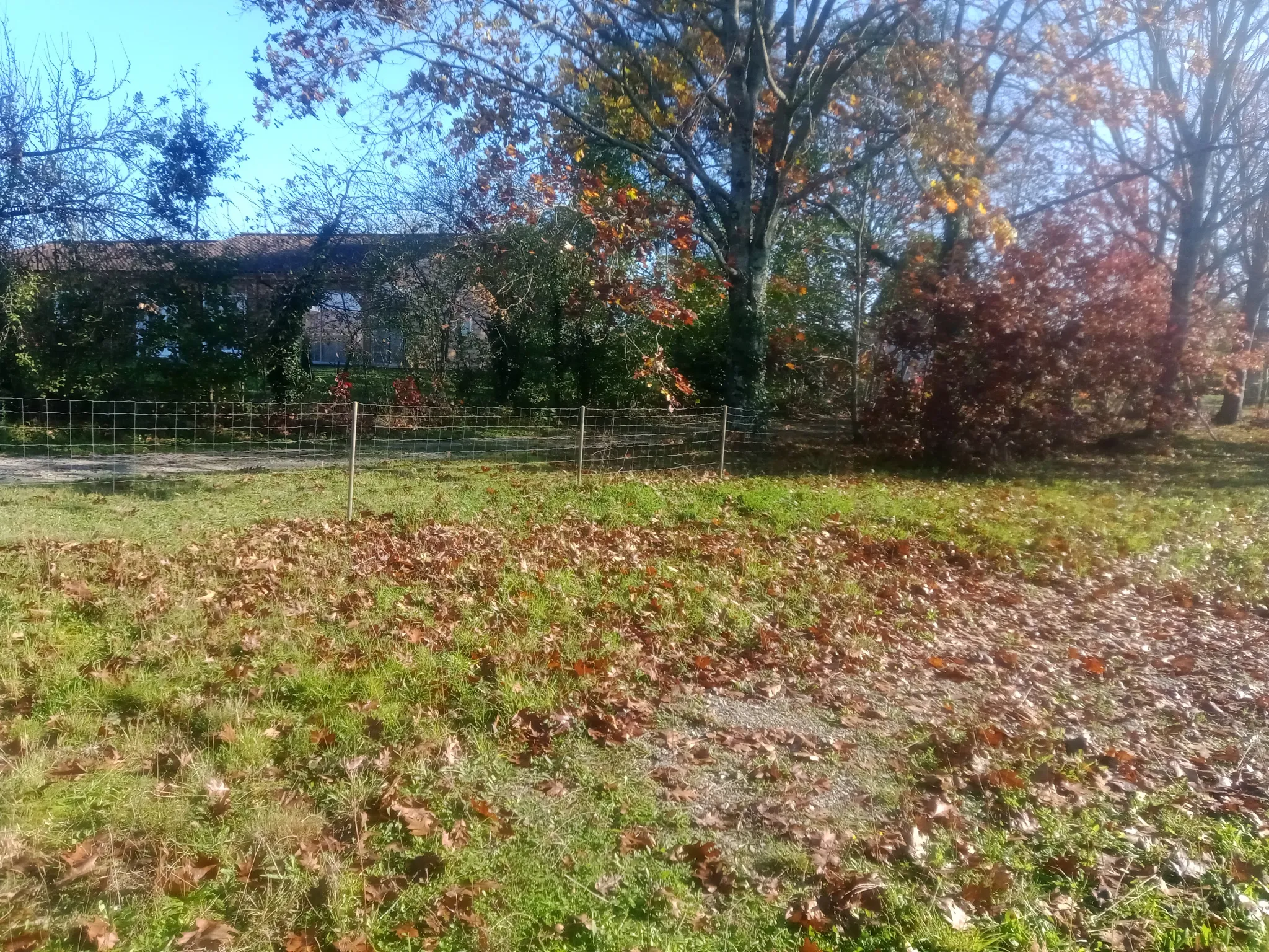 Terrain à bâtir à vendre à Rivières - 1624 m² 