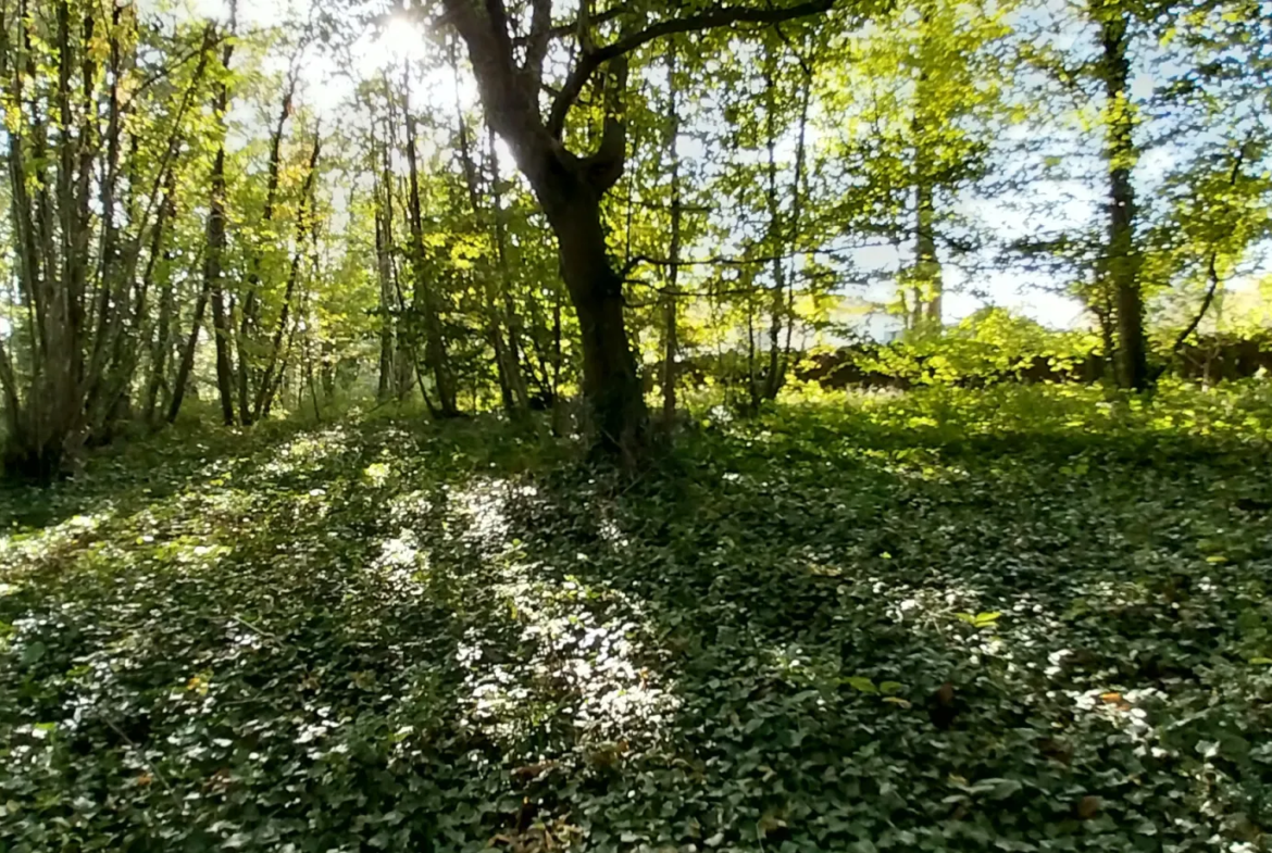 Terrain constructible de 2000 m² à Chancelade, vue sur les bois 