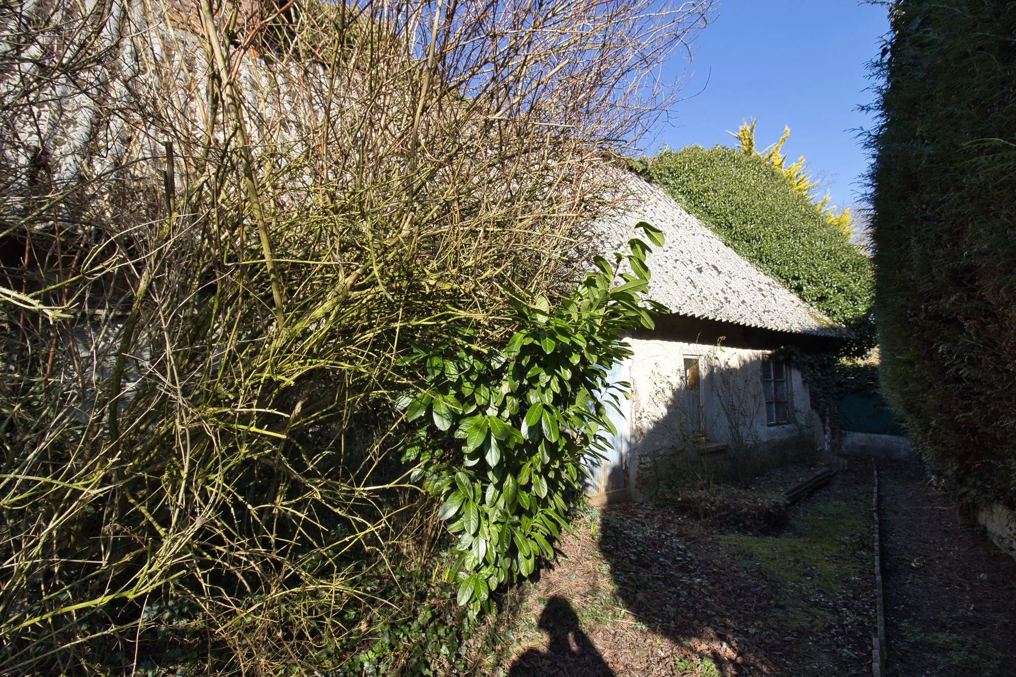 Pavillon Traditionnel avec 5 Chambres à Cany-Barville 